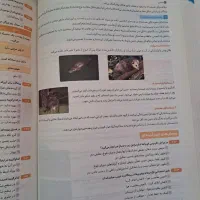 کتاب IQ آی کیو نهم ویژه ورودی مدارس تیزهوشان|کتاب و مجله آموزشی|تهران, لویزان|دیوار