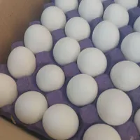 استخدام کارگر ساده آقا