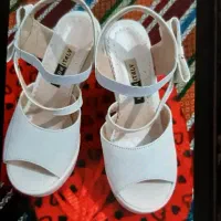 کفش مجلسی|کیف، کفش، کمربند|قم, نیروگاه|دیوار