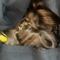 خریداراصلی مو بالاترین قیمت