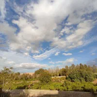 روانشناسی زناشویی