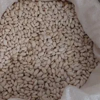 فروش لوبیا چیتی وسفید|خوردنی و آشامیدنی|تهران, دانشگاه شریف|دیوار