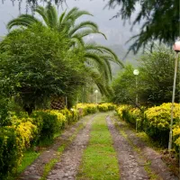 اجاره ویلا توی دل جنگل های سوادکوه|اجارهٔ کوتاهمدت ویلا و باغ|شیرگاه, |دیوار