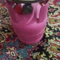 پیک نیک|اجاق گاز و لوازم برقی پختوپز|سبزوار, کلاته سیفر|دیوار