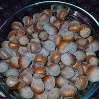 فندوق تازه|خوردنی و آشامیدنی|شهریار, شهریار|دیوار