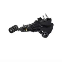 کالسکه عصایی