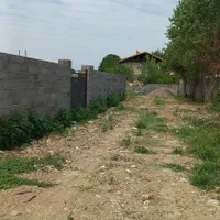 زمین مسکونی ۳۰۰ متری در (احمد گوراب رشت)|فروش زمین و ملک کلنگی|رشت, احمد گوراب|دیوار