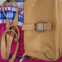 کیف|کیف، کفش، کمربند|گرگان, |دیوار