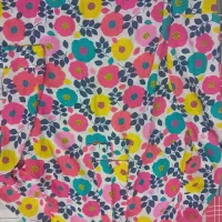 تعدادی شومیز نونو|لباس|اراک, |دیوار