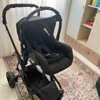 کالسکه و کریر|کالسکه و لوازم جانبی|نیشابور, گمنام غربی|دیوار