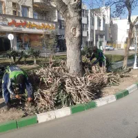 استخدام نیرو فضای سبز