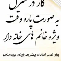 کار باگوشی ویژه بانوان باغیرت