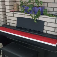 پیانو دیجیتال یاماها نو|پیانو، کیبورد، آکاردئون|کرج, شهرک بنفشه|دیوار