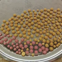 قند خوشمزه تزئینی|خوردنی و آشامیدنی|رباط‌کریم, مسکن مهر آبشناسان|دیوار