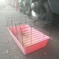 باکس قفس پت خانگی