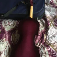 ویولون رنگ زیبا|ویولن|رشت, بلوار گیلان|دیوار