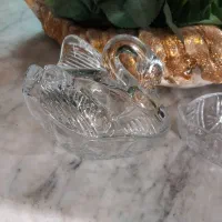 نقل خوری قو زیبا یه جفت