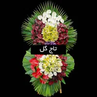 گل فروشی آنلاین قم|گل و گیاه طبیعی|قم, تولید دارو و یخچال|دیوار