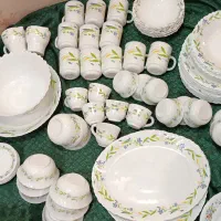 آرکوپال امارات|ظروف سرو و پذیرایی|تهران, قنات‌کوثر|دیوار