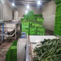 کارگر ساده مرد