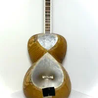 تار حرفه ای ۳ مهر پناهی|سازهای سنتی|تهران, فردوس|دیوار