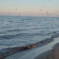 فروش یک خط رند با پیش شماره ۱