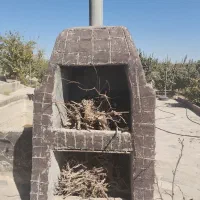 باغ|فروش خانه و ویلا|شاهین‌شهر, فرودگاه هسا|دیوار