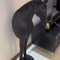 اسب کنار سالنی