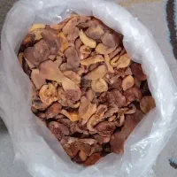 زرد آلو خشک