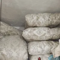 شاه نشین