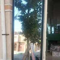 آیینه قدی بزرگ