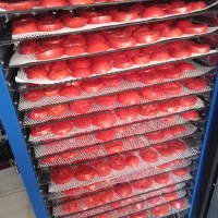 دستگاه خشک کن