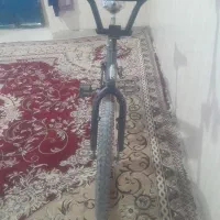 دوچرخه ۲۰حرفه ای|دوچرخه، اسکیت، اسکوتر|اهرم, |دیوار