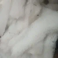 لایکو صنعتی|رختخواب، بالش، پتو|مشهد, شهید علی محمدی|دیوار