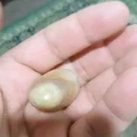 مهره|جواهرات|اهواز, بهارستان|دیوار