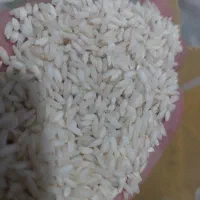 فروش عمده برنج شمال قیمت رقابتی|خوردنی و آشامیدنی|قم, شاه ابراهیم|دیوار