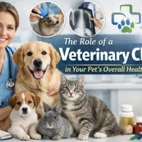 دامپزشک سیار در محل ، کلیه خدمات در محل و کلنیک