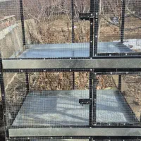 قفس بزرگ پرورش پرنده