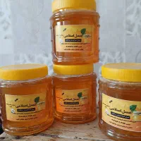 عسل کوهی|حراج|مشگین شهر, |دیوار