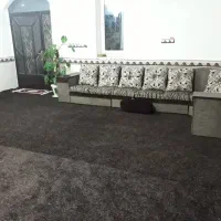 دو عدد قالی دوازده متری و پالاز ۲۴متری تمیز ...