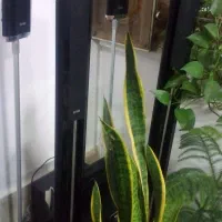 سینما خانگی