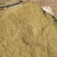 خار