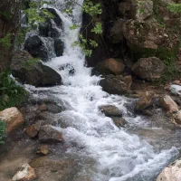 کارت ملی گم شده