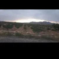 باغ-پسته