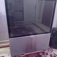 فروشی به علت کمبود جا|تلویزیون و پروژکتور|پرند, فاز ۵|دیوار