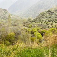 فروش یک قطعه زمین در دلفارد