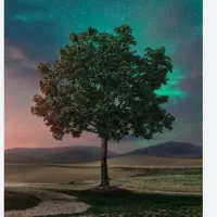 زمین تو خیابان بخشداری