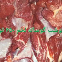 دمبه گوسفندی وگوشت|خوردنی و آشامیدنی|هشتگرد, هشتگرد قدیم|دیوار