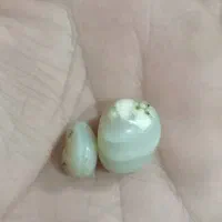 د ع ا یویس هسنم بابت هرمشکلی