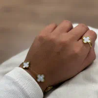 بدلیجات عمده و تک|بدلیجات|شیراز, فخرآباد (دروازه کازرون)|دیوار